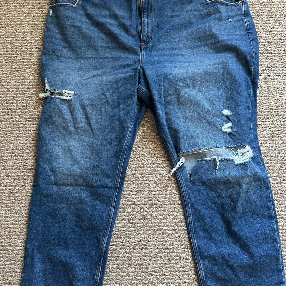 Distressed Blue Women's Jeans- Abercrombie & Fitch curve love